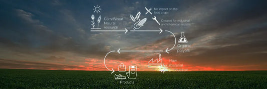 What Is Plant Based Leather - And Why It Matters
